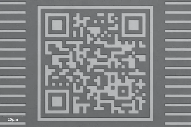 MLA300_Exposures_04.webp