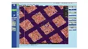 imagexx.webp